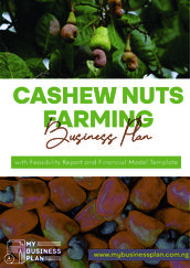 Cashew Nuts Farming Business Plan: With Feasibility Report and Financial Model Template