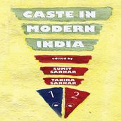 Caste in Modern India