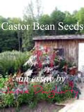 Castor Bean Seeds