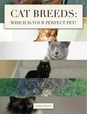 Cat Breeds: Which is Your Perfect Pet?