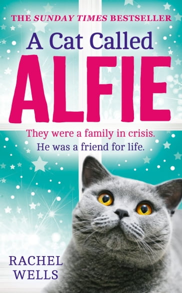 A Cat Called Alfie (Alfie series, Book 2) - Rachel Wells