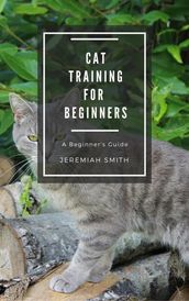 Cat Training For Beginners