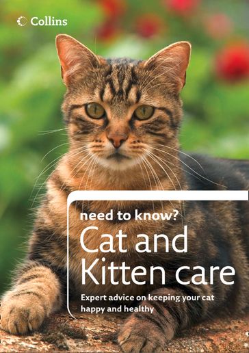 Cat and Kitten Care (Collins Need to Know?) - Collins