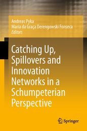 Catching Up, Spillovers and Innovation Networks in a Schumpeterian Perspective