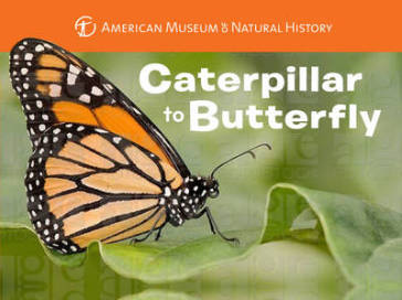 Caterpillar to Butterfly - American Museum of Natural History - Melissa Stewart