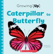 Caterpillar to Butterfly (Growing Up)