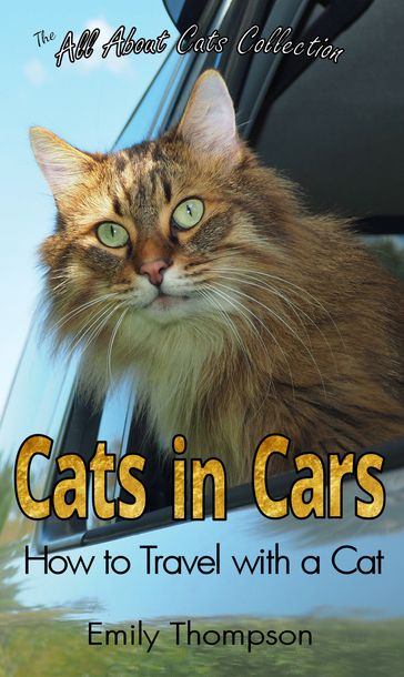 Cats in Cars: How to Travel with a Cat - Emily Thompson