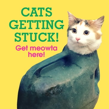 Cats Getting Stuck! - Ebury Publishing