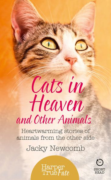 Cats in Heaven: And Other Animals. Heartwarming stories of animals from the other side. (HarperTrue Fate  A Short Read) - Jacky Newcomb