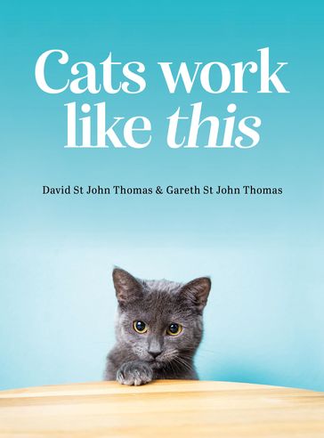 Cats Work Like This - David St John Thomas - Gareth St John Thomas