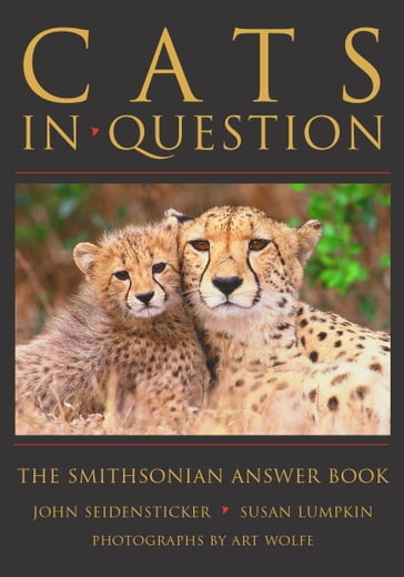 Cats in Question - John Seidensticker - Susan Lumpkin