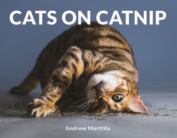 Cats on Catnip - Andrew Marttila