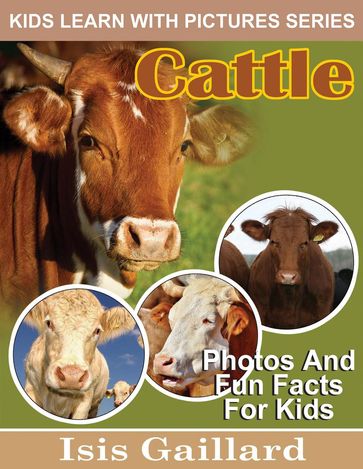 Cattle Photos and Fun Facts for Kids - Isis Gaillard