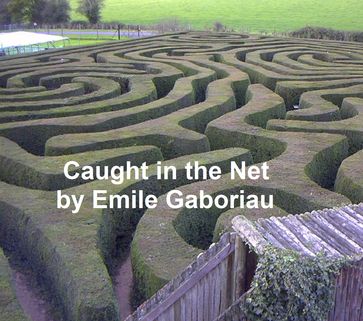 Caught in the Net - Emile Gaboriau