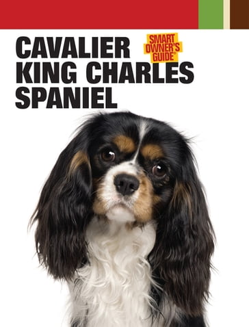 Cavalier King Charles Spaniel - Dog Fancy Magazine