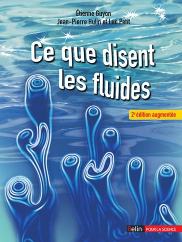 Ce que disent les fluides - 2e édition - Jean-Pierre Hulin - Luc Petit