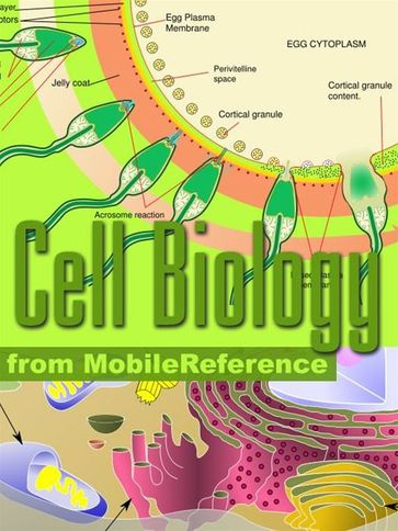Cell Biology Study Guide: Prokaryotes, Archaea, Eukaryotes, Viruses, Cell Components, Respiration, Protein Biosynthesis, Cell Division, Cell Signaling & More. (Mobi Study Guides) - MobileReference