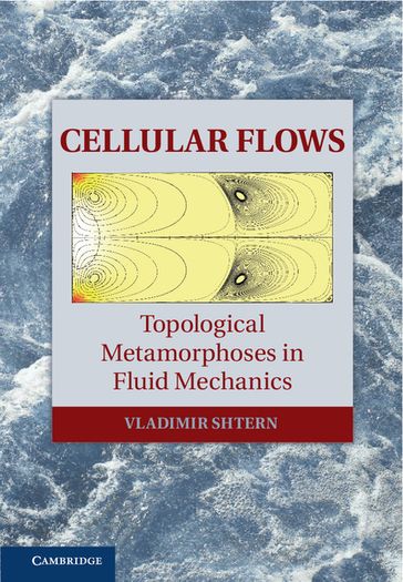 Cellular Flows - Vladimir Shtern