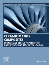 Ceramic Matrix Composites