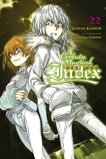 A Certain Magical Index, Vol. 22 (light novel) - Kamachi Kazuma