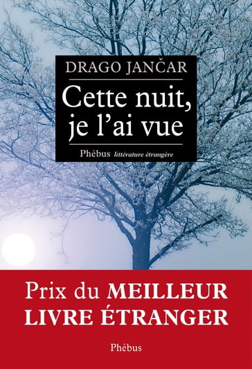 Cette nuit, je l'ai vue - Drago Jancar