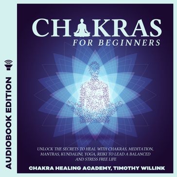 Chakras for Beginners - Timothy Willink