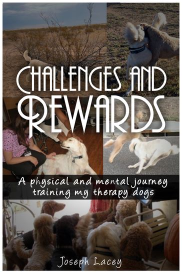 Challenges and Rewards - Joseph Lacey