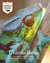 Chameleons