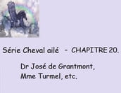 Chapitre 20 - Dr José de Grantmont, Mme Turmel, etc.
