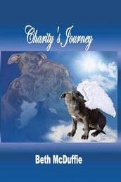 Charity S Journey