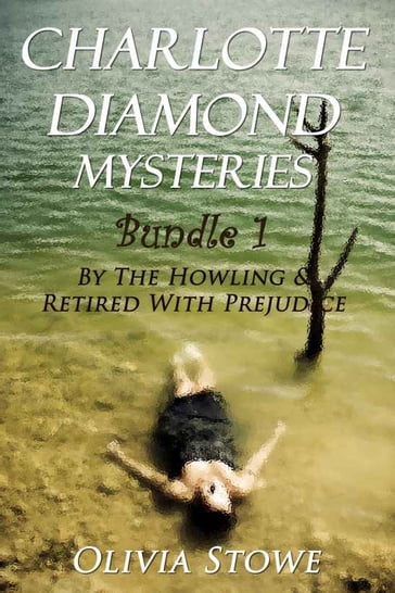 Charlotte Diamond Mysteries 1 - Olivia Stowe