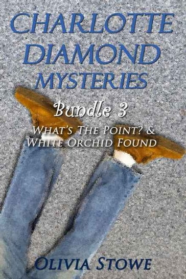 Charlotte Diamond Mysteries 3 - Olivia Stowe