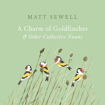 A Charm of Goldfinches and Other Collective Nouns - Matt Sewell