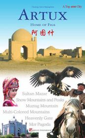 Charming Cities in Xinjiang Series:ARTUX