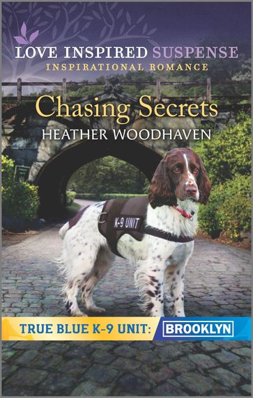 Chasing Secrets - Heather Woodhaven