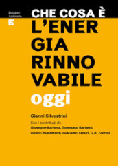 Che cosa è l energia rinnovabile oggi