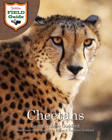 Cheetahs - Cameron Goddard - Ethan Goddard - Jane Goddard - Lance Goddard