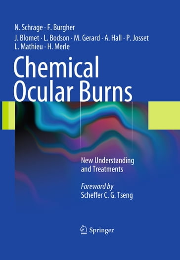 Chemical Ocular Burns - Alan Hall - François Burgher - Harold Merle - Joel Blomet - Laurence Mathieu - Lucien Bodson - Max Gerard - Norbert Schrage - Patrice Josset