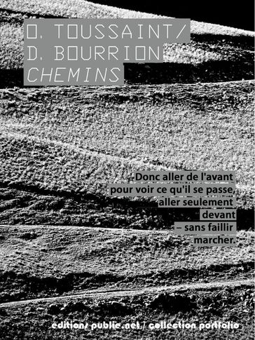 Chemins - Olivier Toussaint - Daniel Bourrion