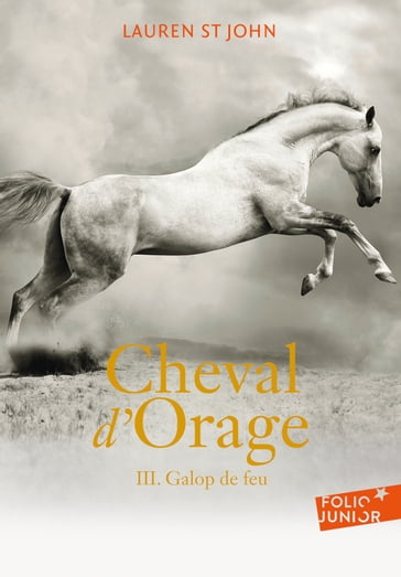 Cheval d'Orage (Tome 3) - Galop de feu - Lauren St John