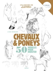 Chevaux & poneys