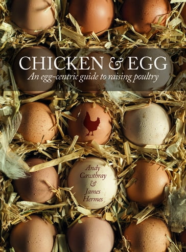 Chicken & Egg - Andy Cawthray - James Hermes