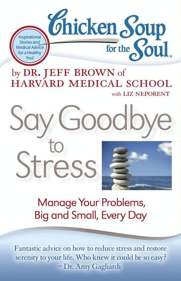 Chicken Soup for the Soul: Say Goodbye to Stress - Dr. Jeff Brown