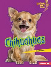 Chihuahuas