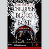 Children of blood and bone - Solstenen