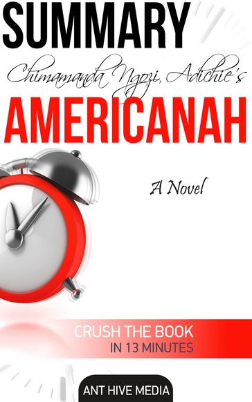 Chimamanda Ngozi's Americanah Summary - Ant Hive Media