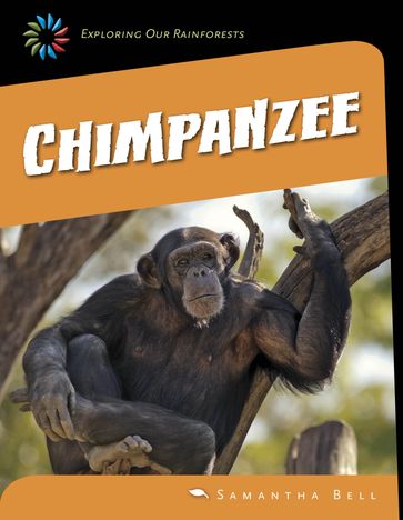 Chimpanzee - Samantha Bell