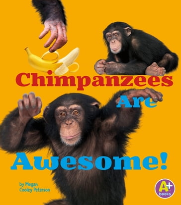 Chimpanzees Are Awesome! - Megan C Peterson