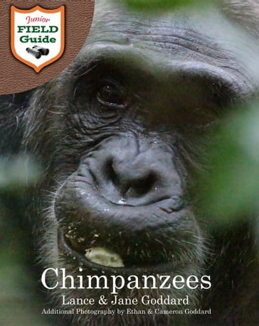 Chimpanzees - Cameron Goddard - Ethan Goddard - Jane Goddard - Lance Goddard