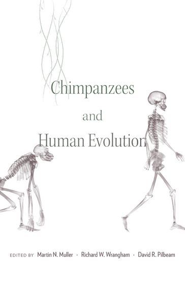 Chimpanzees and Human Evolution - Martin N. Muller